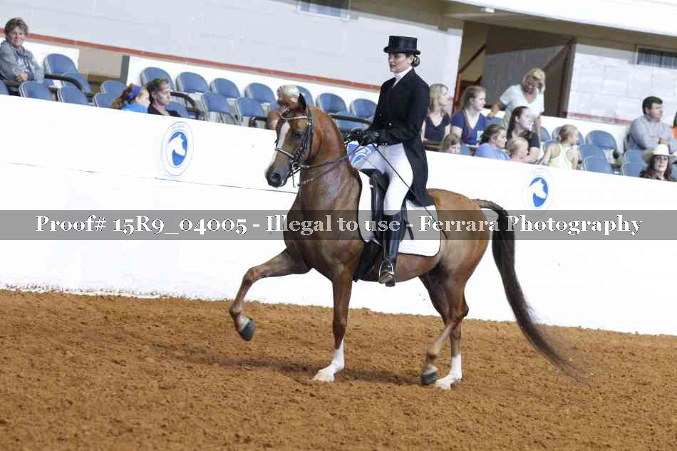 Proof 15R9_04005