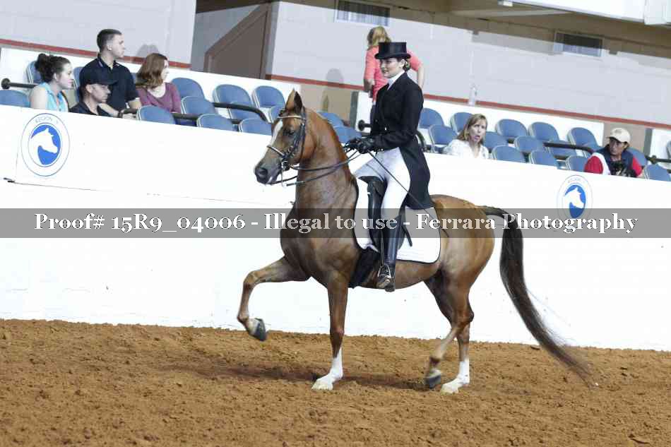 Proof 15R9_04006