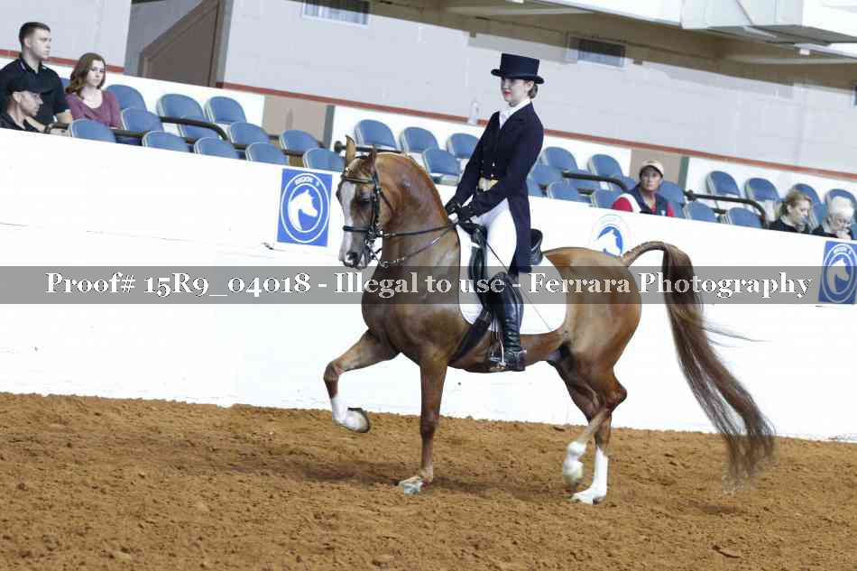 Proof 15R9_04018