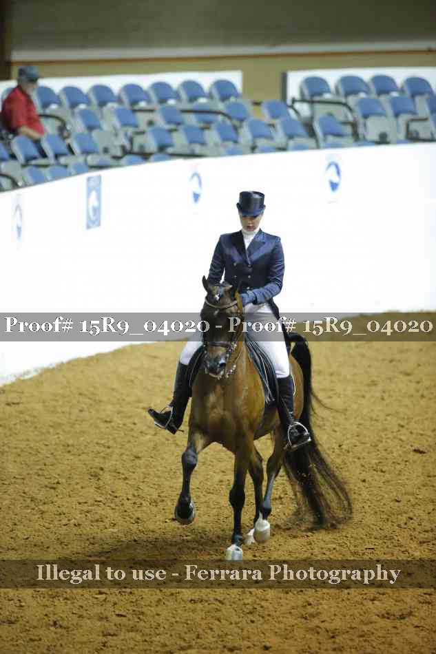 Proof 15R9_04020