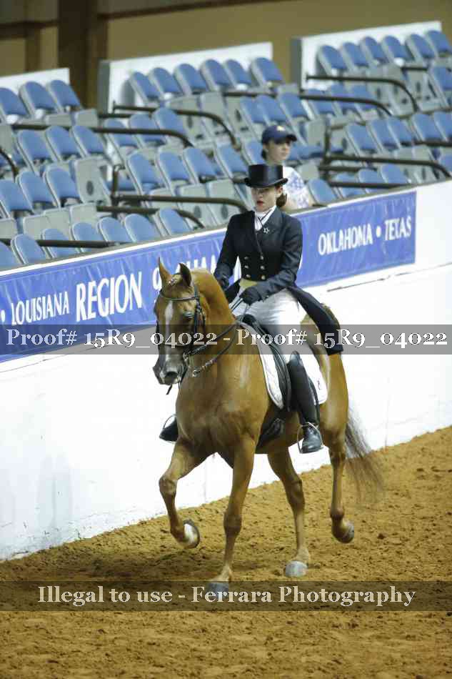 Proof 15R9_04022