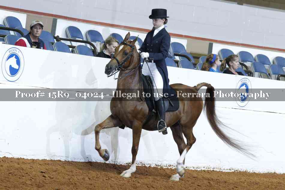 Proof 15R9_04024