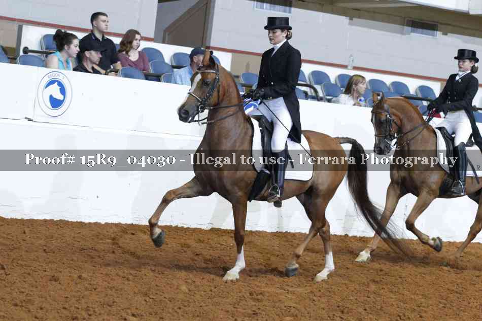 Proof 15R9_04030