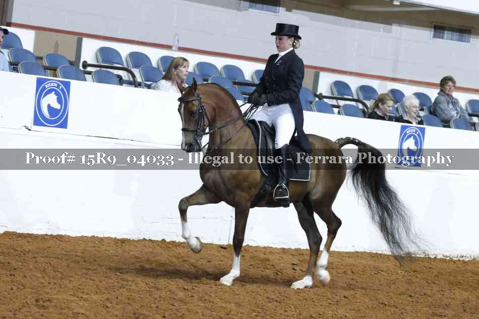 Proof 15R9_04033