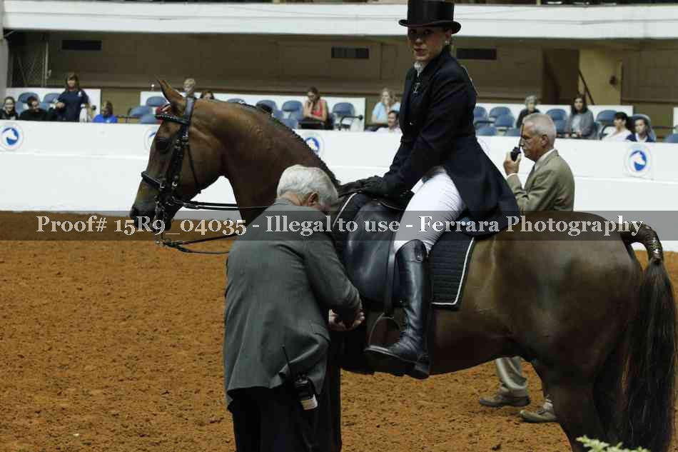 Proof 15R9_04035
