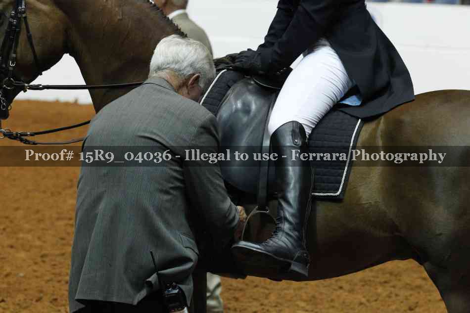 Proof 15R9_04036