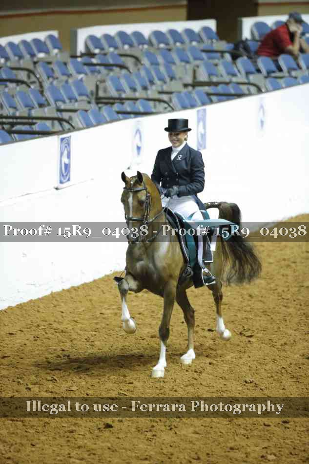 Proof 15R9_04038