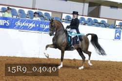 15R9_04040 proof
