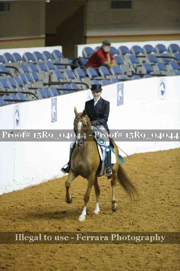 Proof 15R9_04044