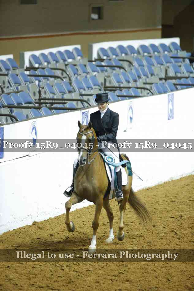 Proof 15R9_04045