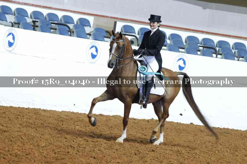 Proof 15R9_04046