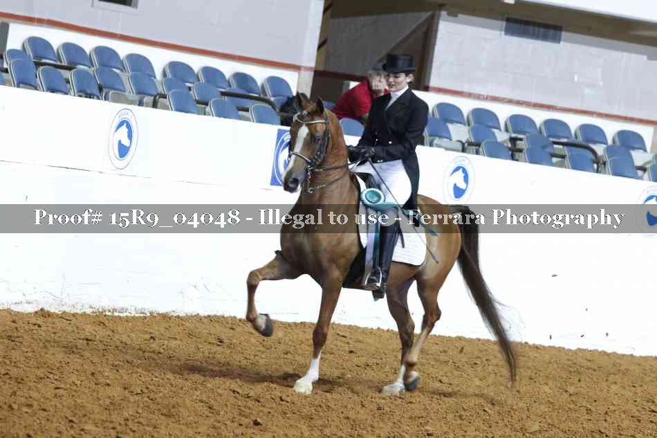 Proof 15R9_04048
