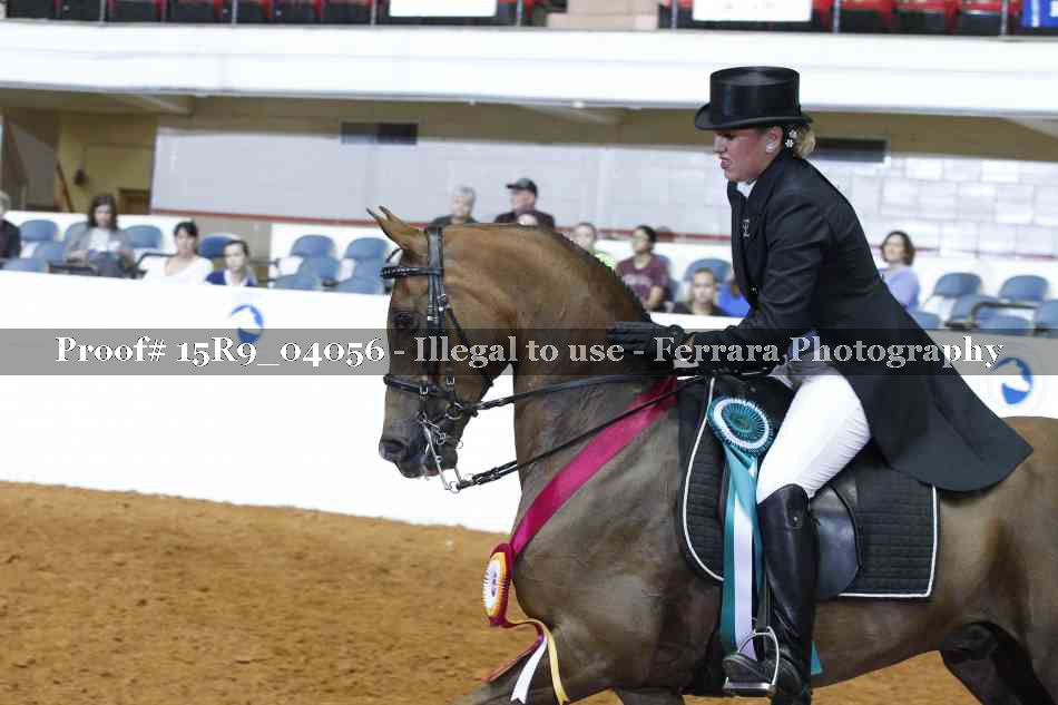 Proof 15R9_04056