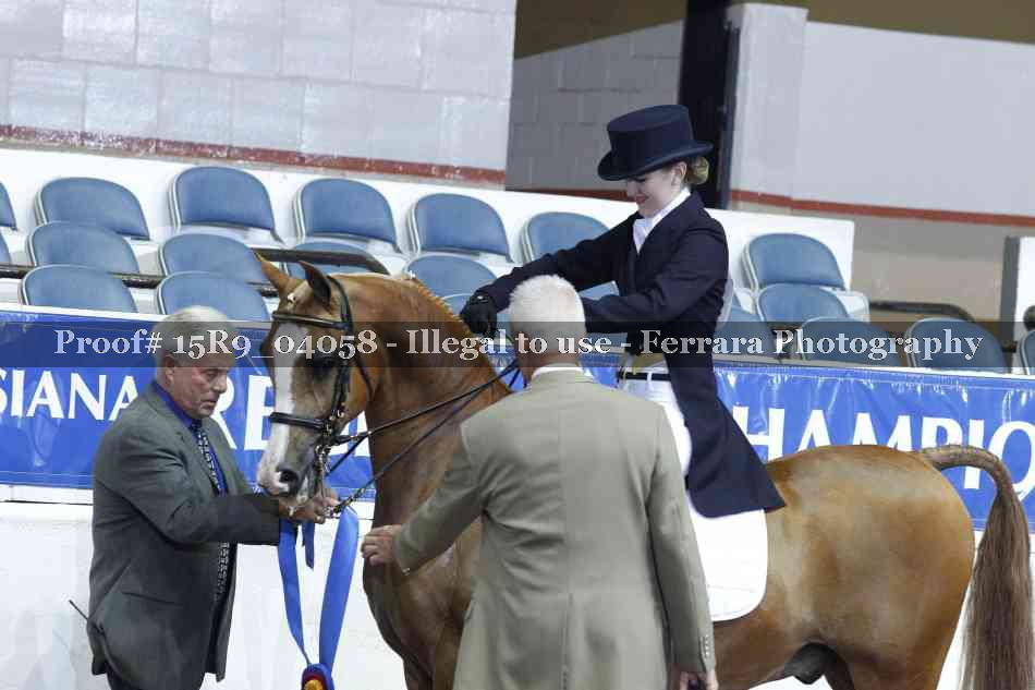 Proof 15R9_04058