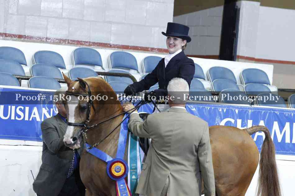 Proof 15R9_04060