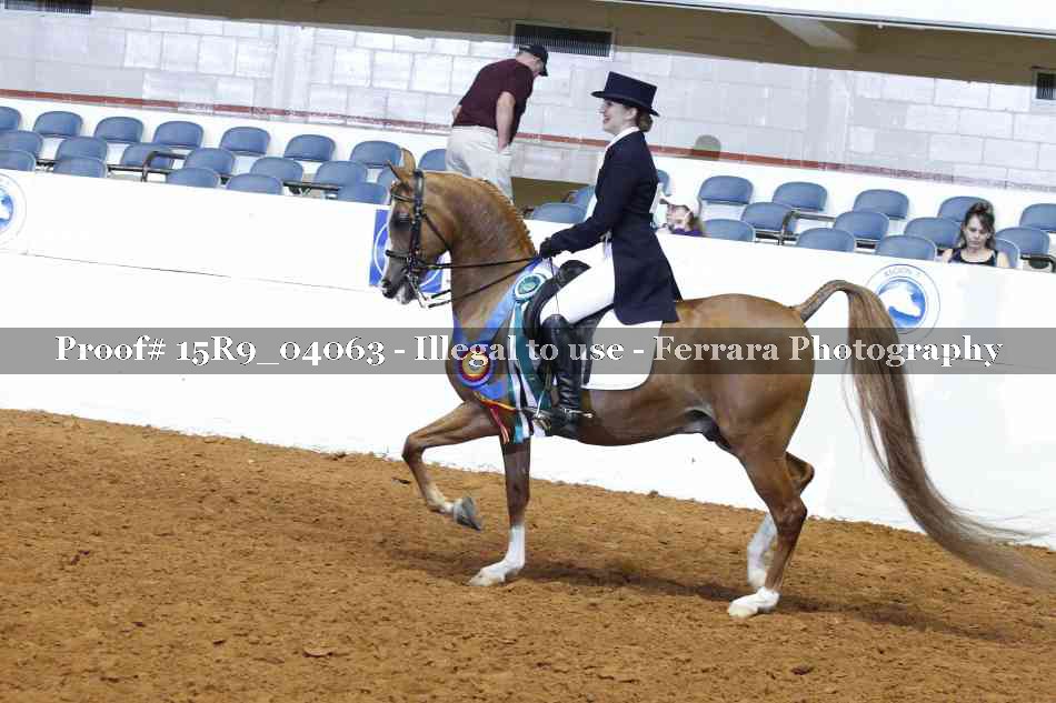Proof 15R9_04063