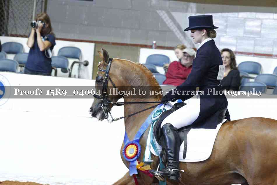 Proof 15R9_04064