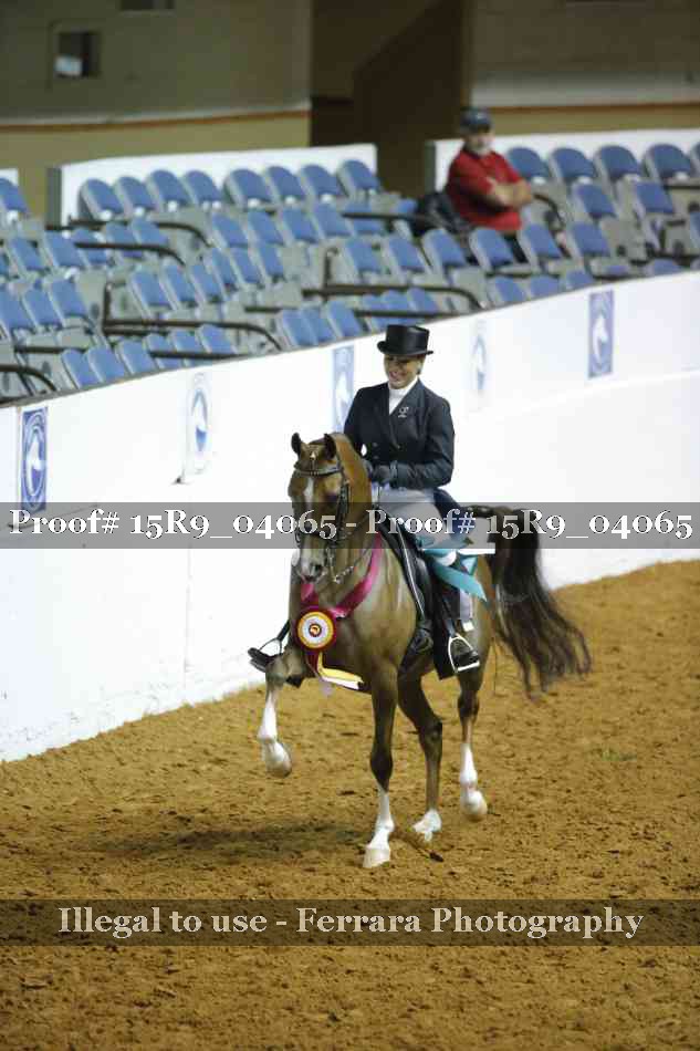 Proof 15R9_04065