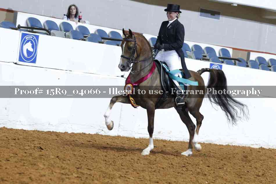 Proof 15R9_04066