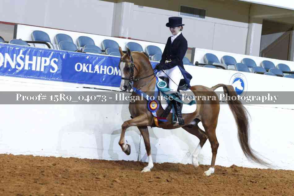 Proof 15R9_04073