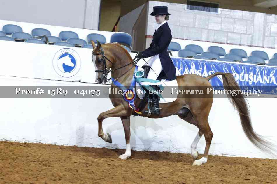 Proof 15R9_04075