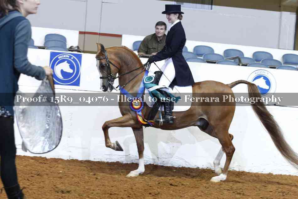 Proof 15R9_04076