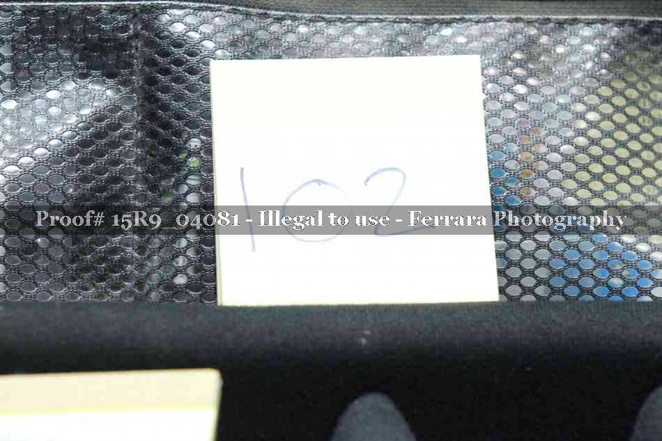 Proof 15R9_04081