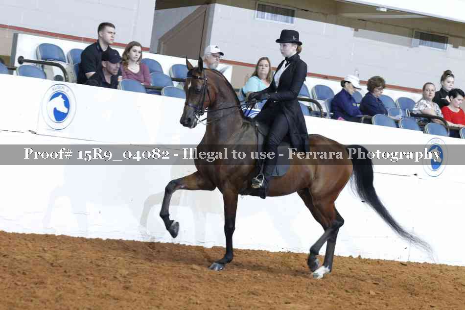 Proof 15R9_04082