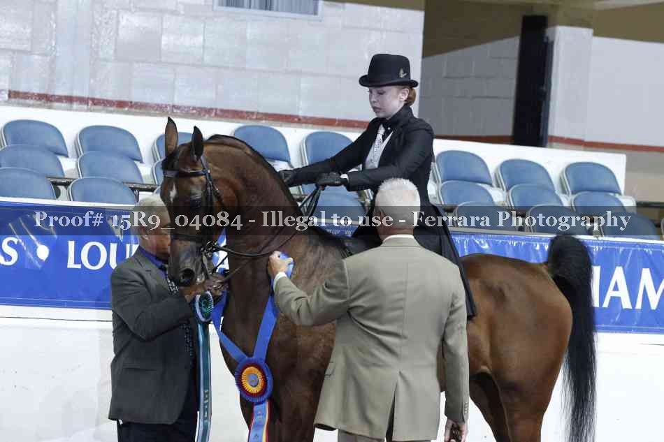 Proof 15R9_04084
