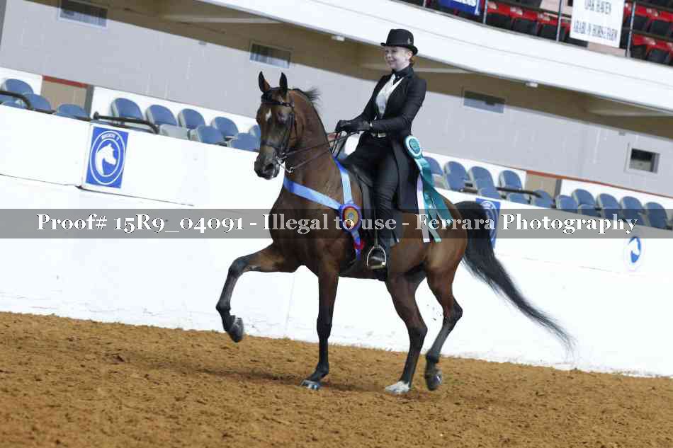 Proof 15R9_04091