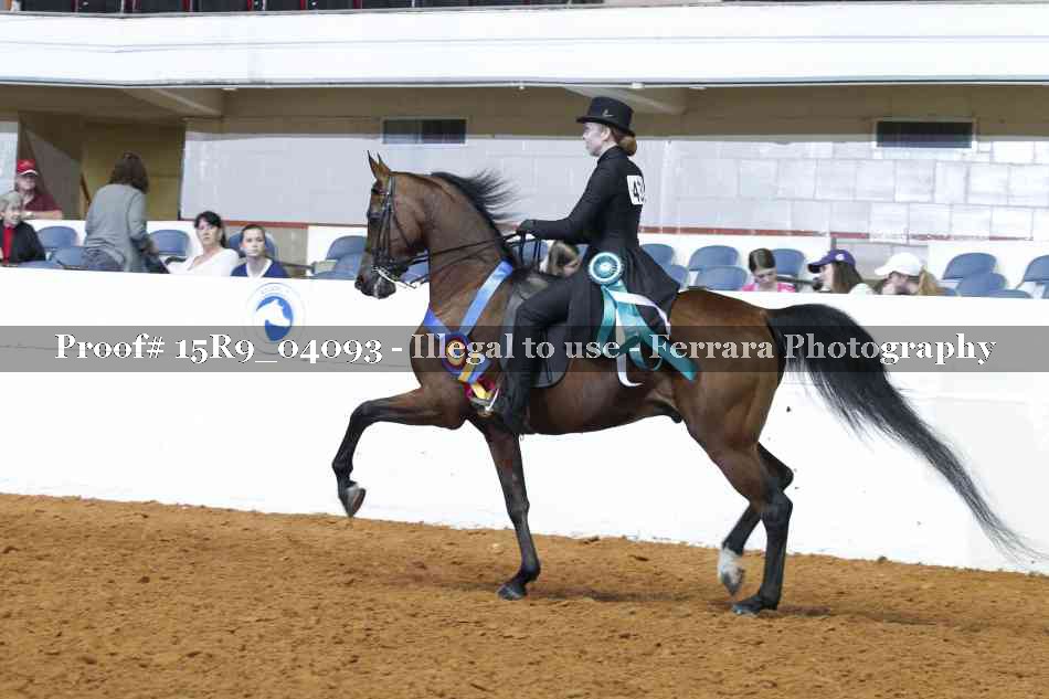 Proof 15R9_04093