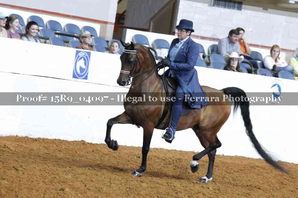 Proof 15R9_04097