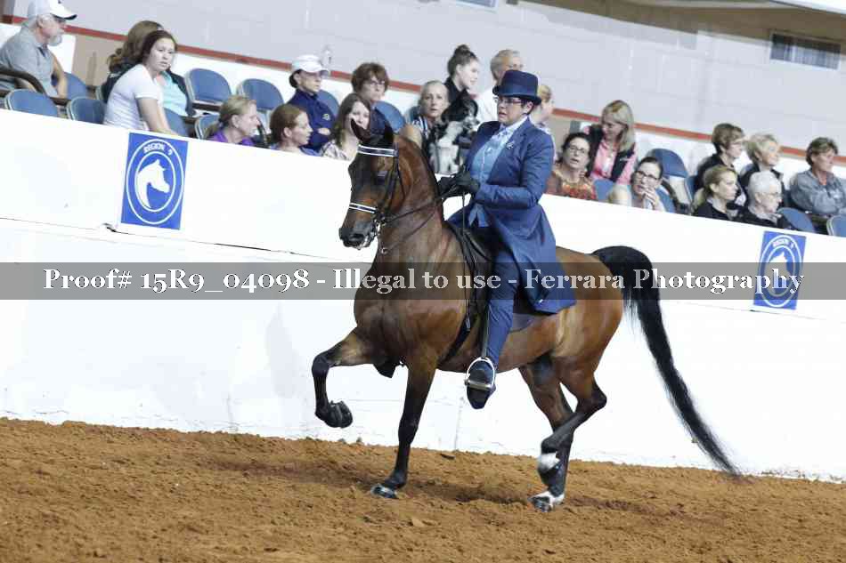 Proof 15R9_04098