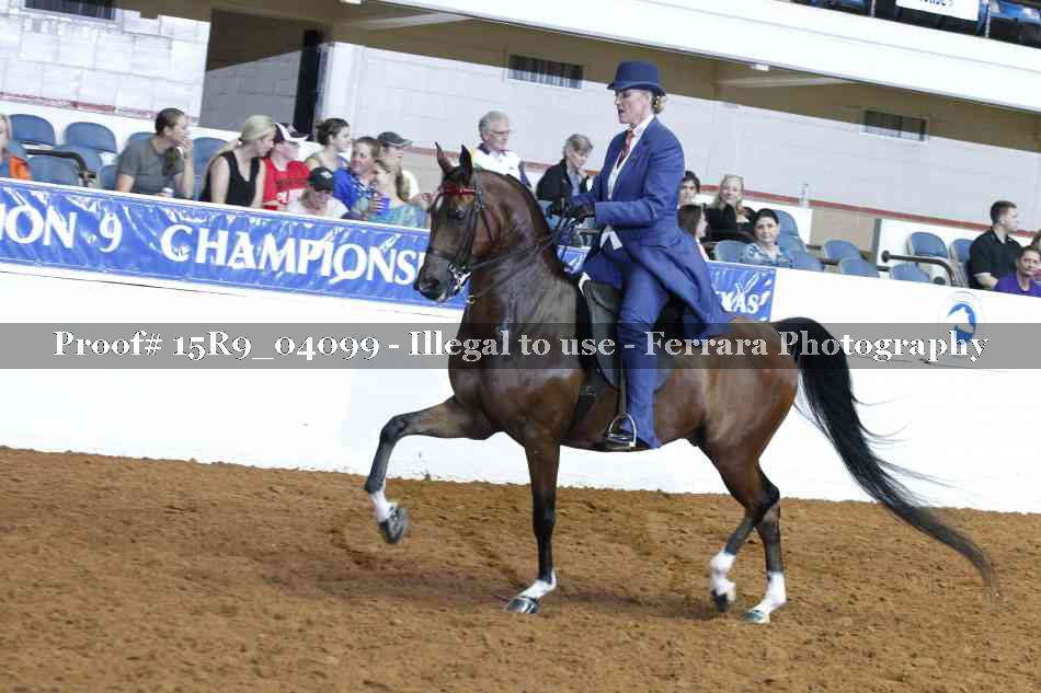 Proof 15R9_04099