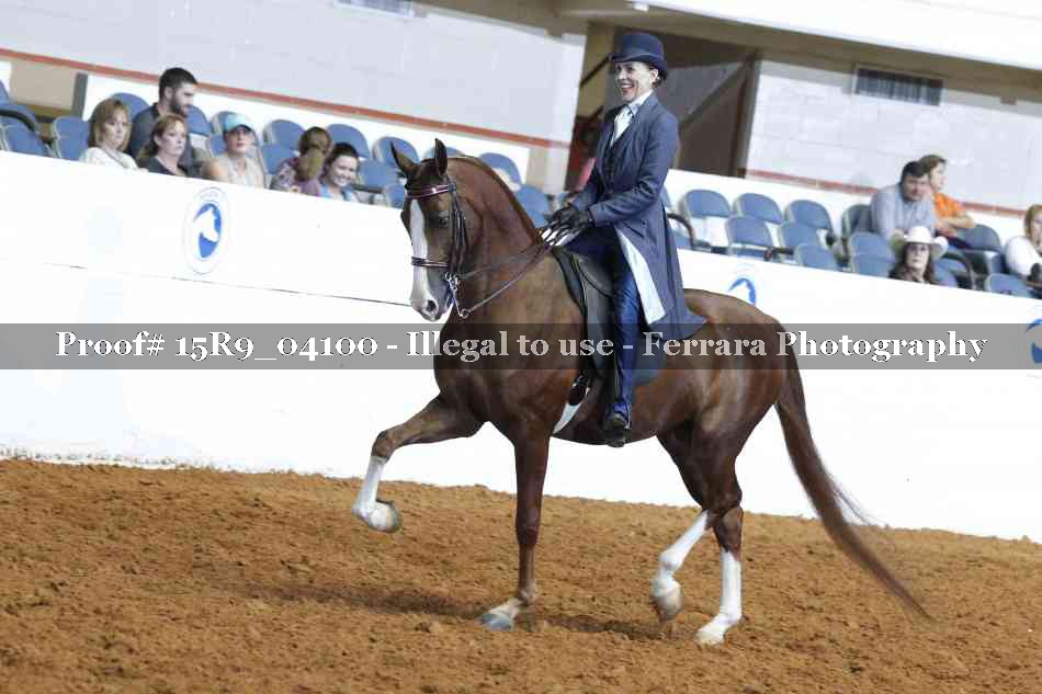 Proof 15R9_04100