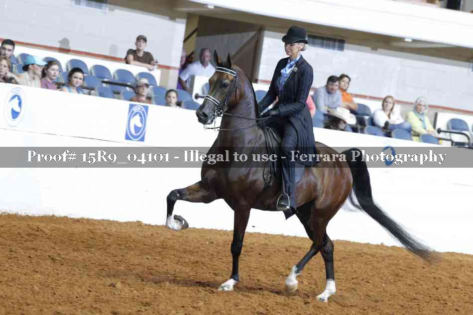 Proof 15R9_04101