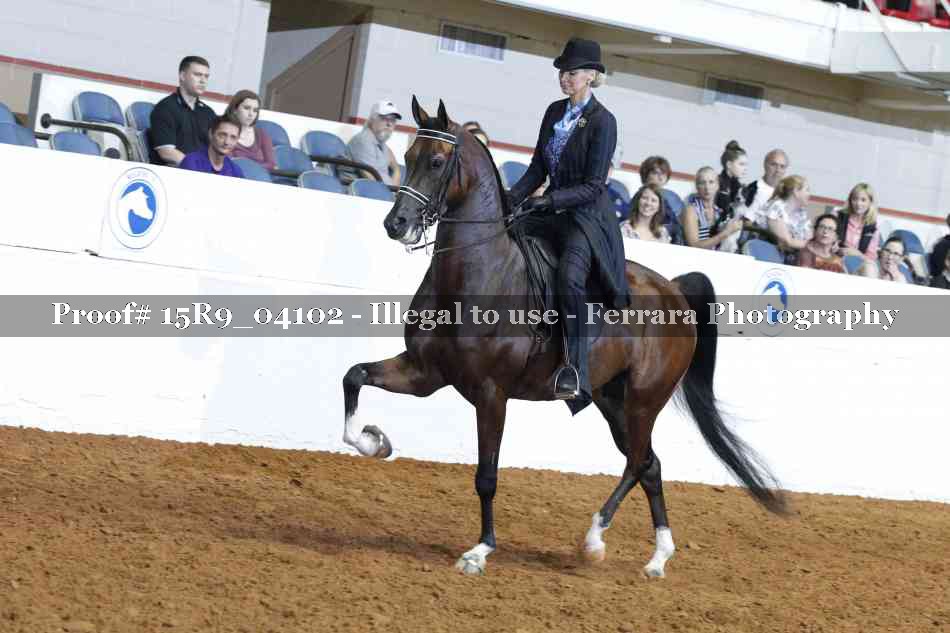 Proof 15R9_04102