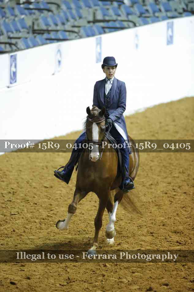 Proof 15R9_04105