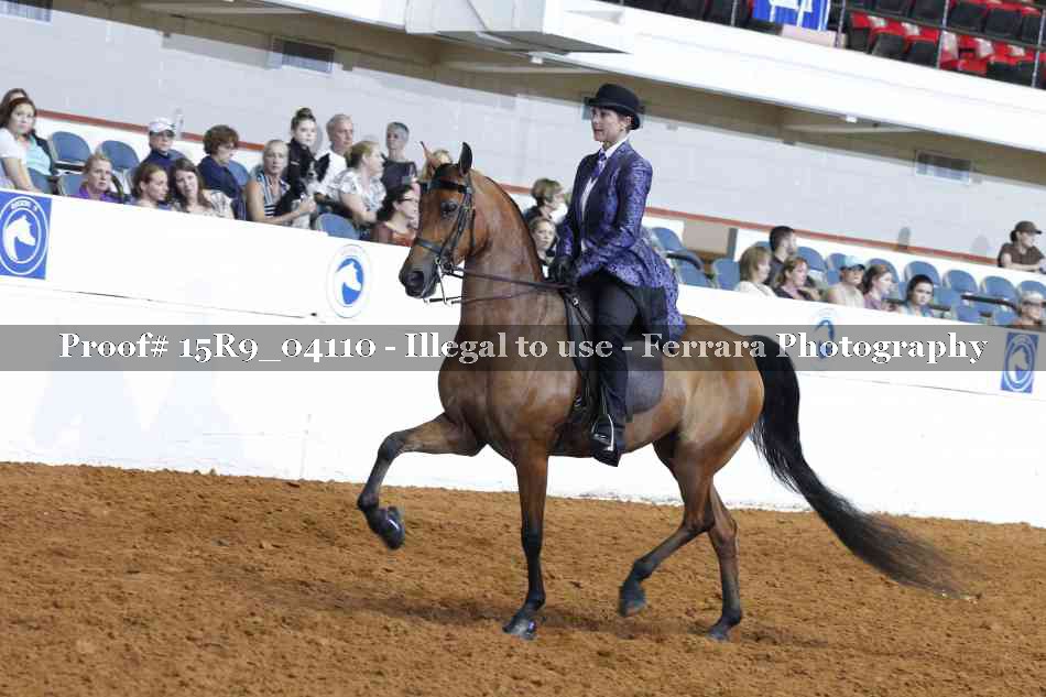Proof 15R9_04110