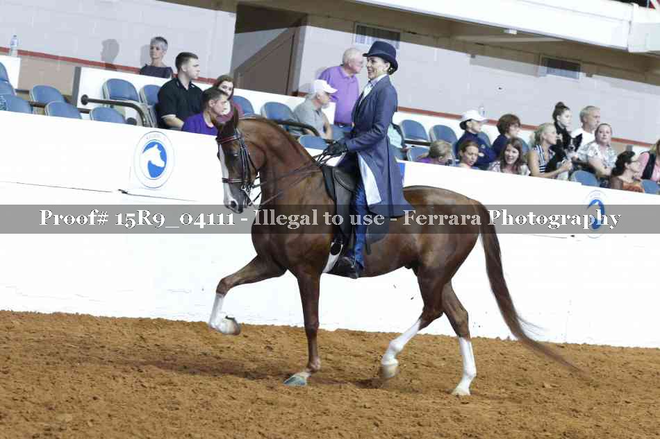 Proof 15R9_04111