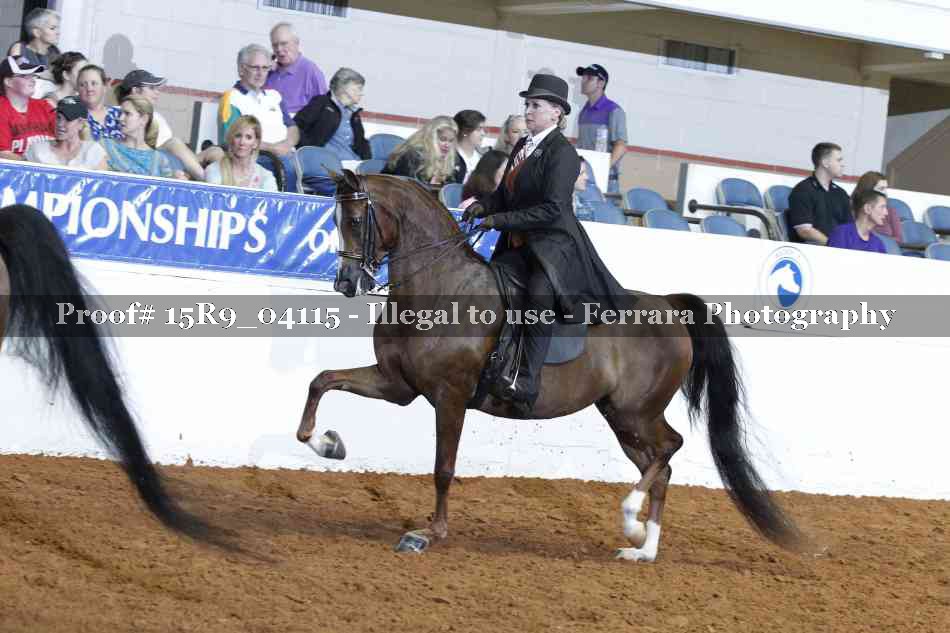 Proof 15R9_04115