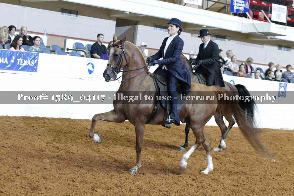 Proof 15R9_04117