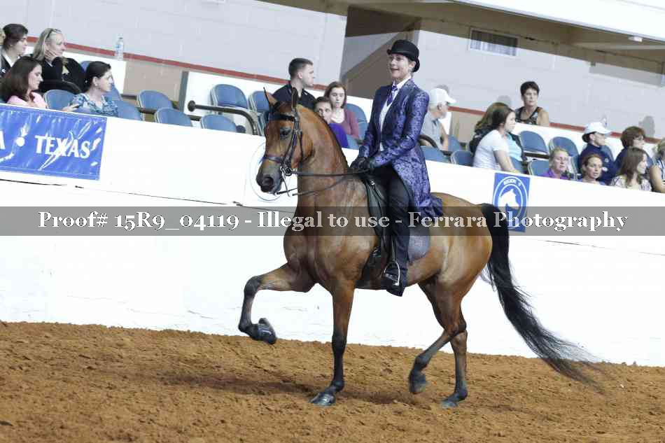 Proof 15R9_04119