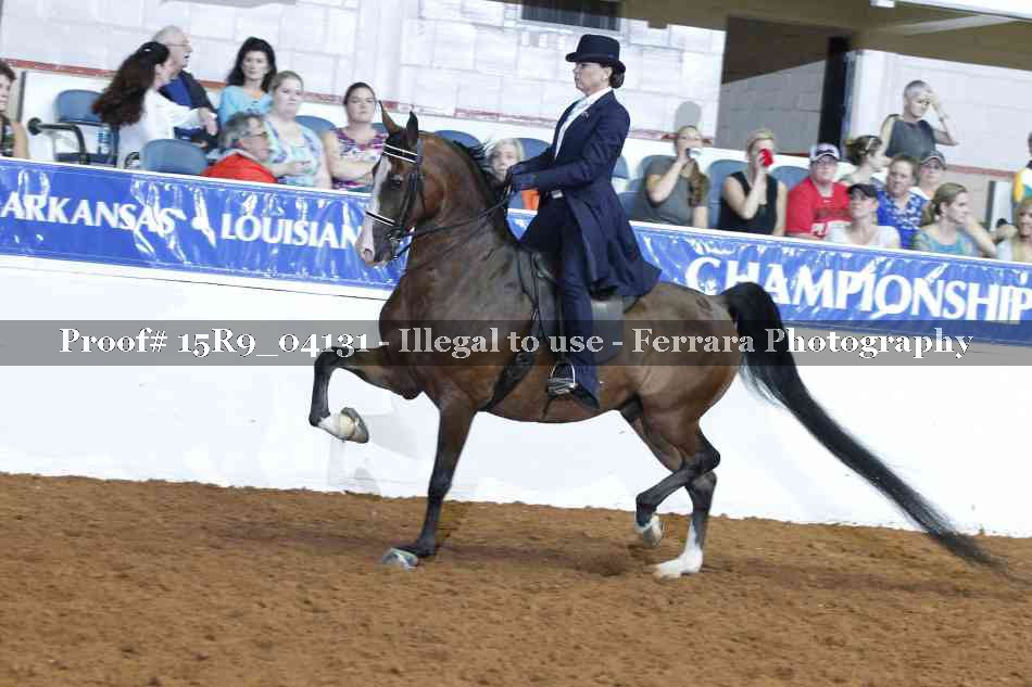 Proof 15R9_04131