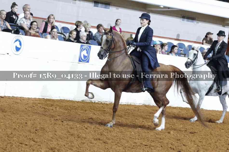 Proof 15R9_04133