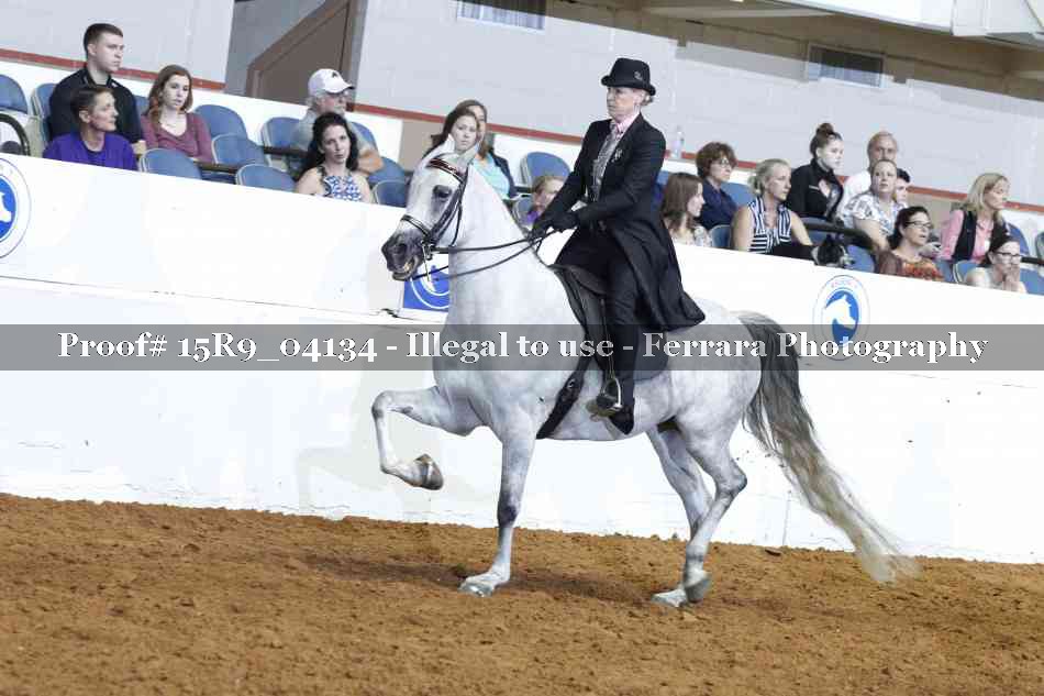 Proof 15R9_04134