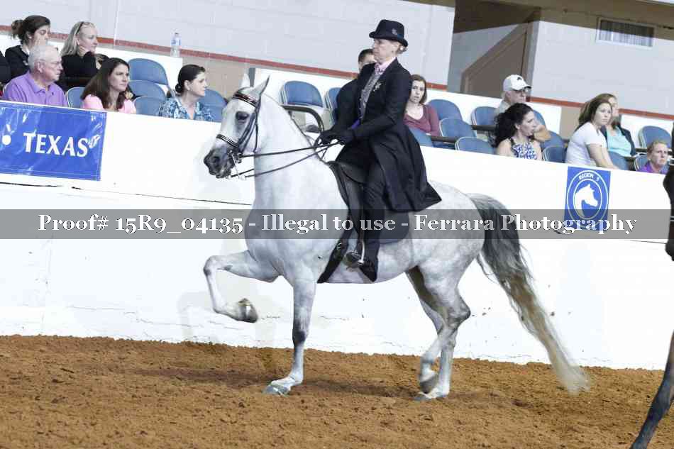Proof 15R9_04135