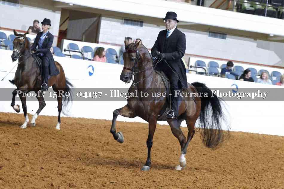 Proof 15R9_04137