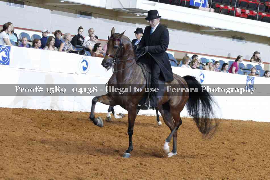 Proof 15R9_04138