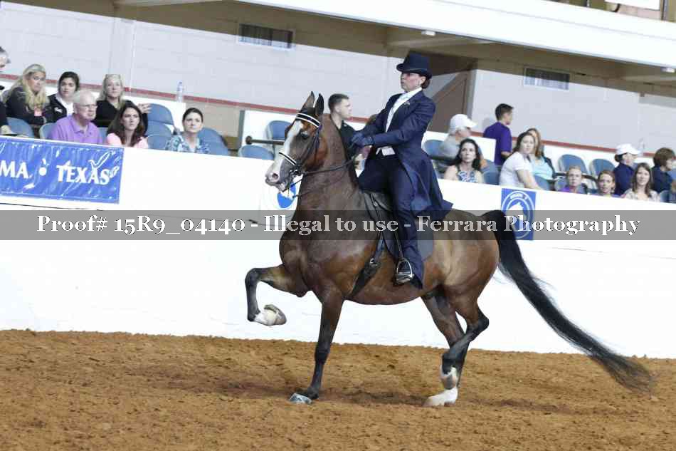 Proof 15R9_04140